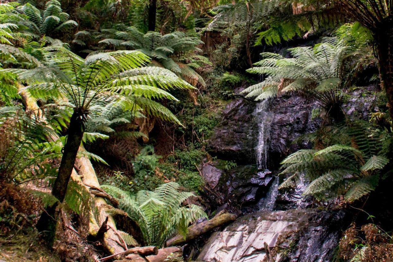 Yarram Holiday Park Buitenkant foto